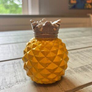 Little Pineapple with a Crown